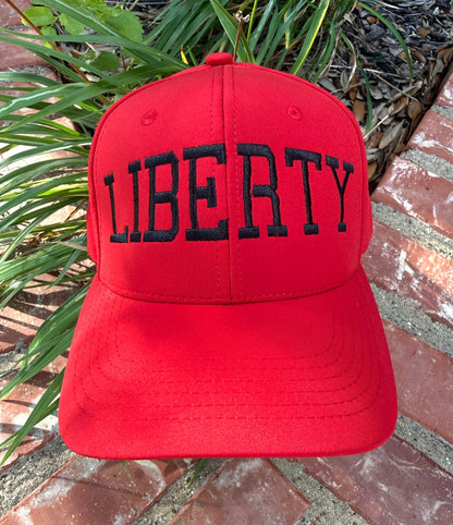 Liberty Snap Back Premium Hat